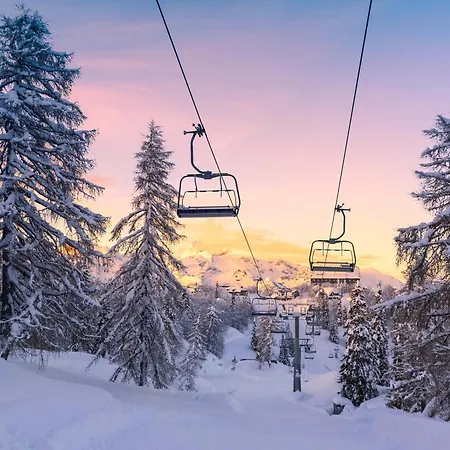 Apartment Cosy Sur Les Pistes A - 4 Personnes, Lave-linge, Animaux Acceptes - Fr-1-445-55 *